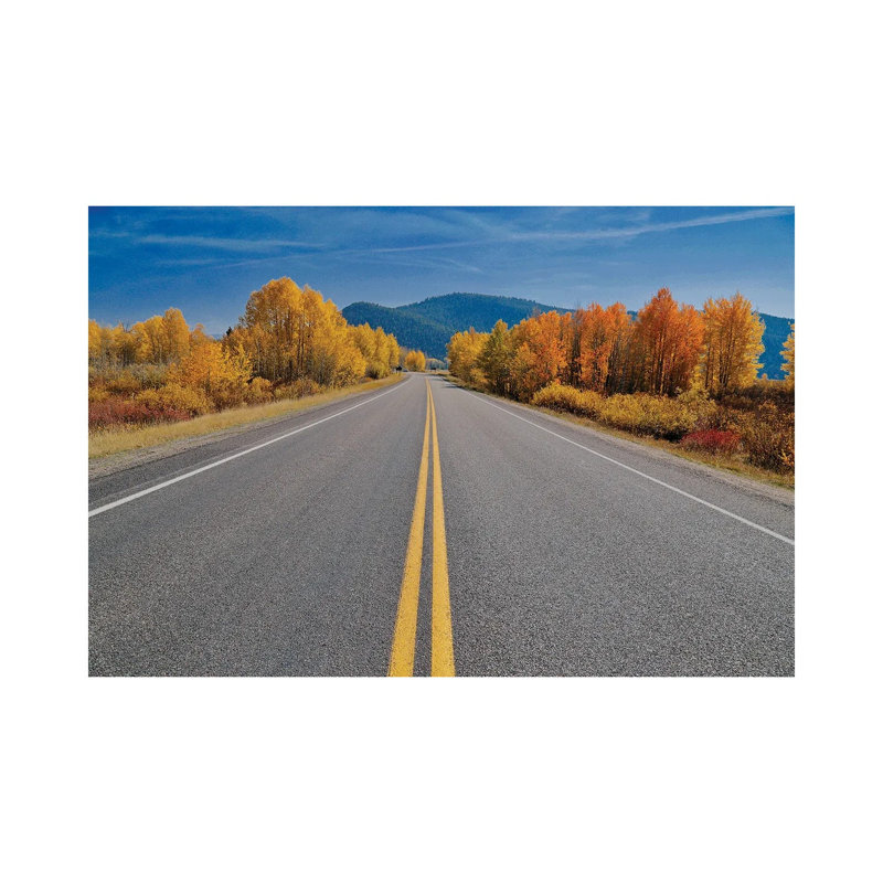 Autumn's Road by Susan Vizvary - Wrapped Canvas Print, 20.32 cm H x 30.48 cm W