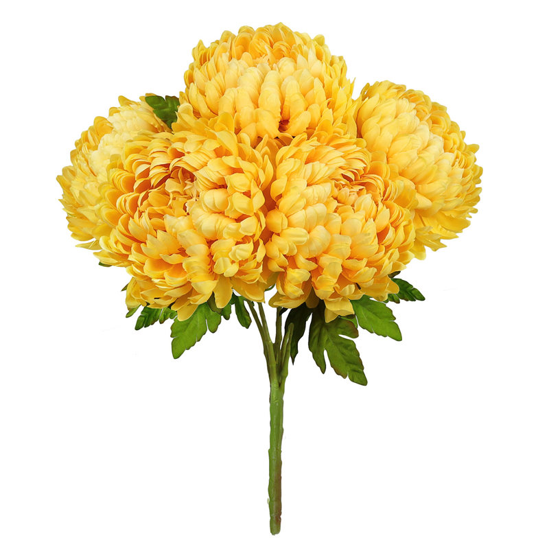 Chrysanthème buisson, Jaune