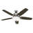 52" Newsome 5 - Blade Standard Ceiling Fan with Pull Chain and Light Kit Included-56420827