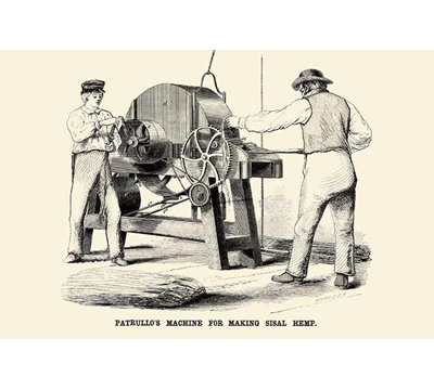 " Patrullo "