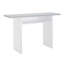 Emar 120Cm Narrow Rectangular Console Table with Storage Shelf-1468190352-1372545403