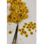 Growing Up On A Farm Hand Tufted Cotton Abstract Area Rug