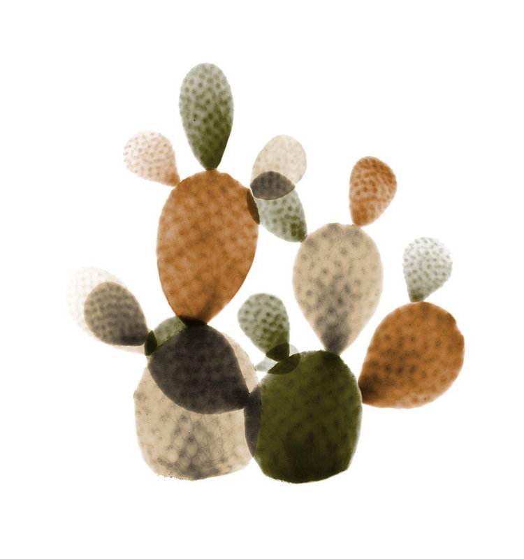 Art sur toile tendue Foundry Select Koetsier, Albert, Urban Cactus Bunch 2