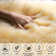 Nisar Indoor Rug