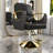 Hydraulic Salon Chair (Single Pack)
