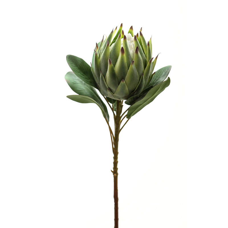 Arrangement, Green, Green