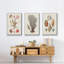 Knorr Shells & Coral I, impression sur toile 3 pièces-91887735-91887736
