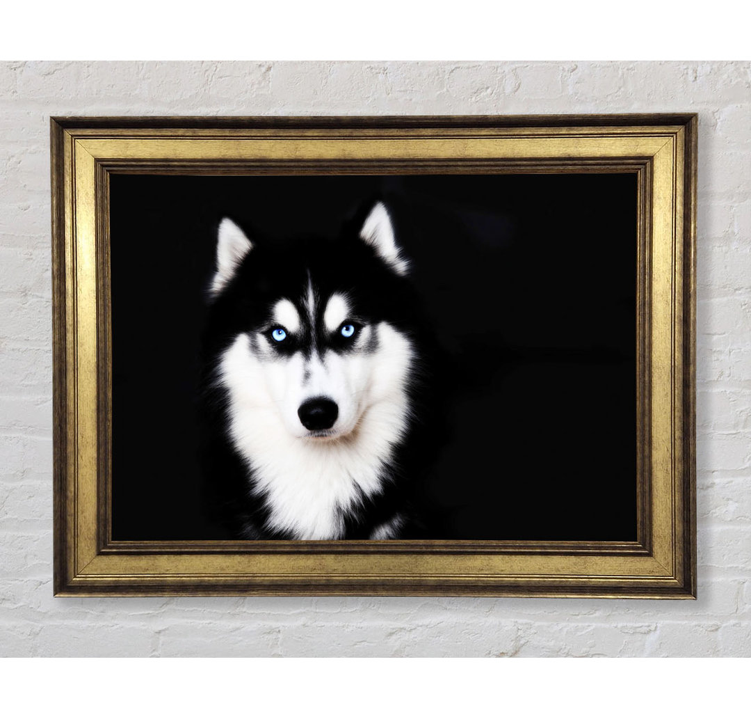 Husky Hund Liebe - Bilderrahmen Kunstdrucke