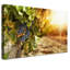 Print on Canvas-22842722-22877473