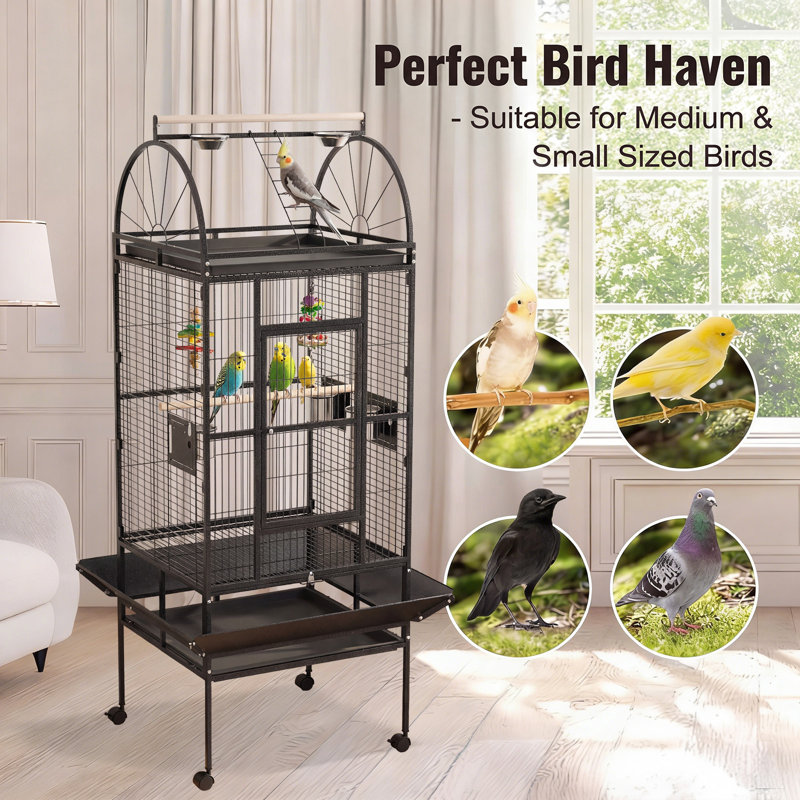 176 Bird Cage