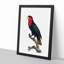 Black-Capped Lory by F. Levaillant - Picture Frame Art Print-55512355-55512354