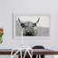Mountain Cow - Single Picture Frame Print-996370162