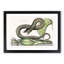 Brown Viper Snake by Mark Catesby - Picture Frame Painting Print-55513150-55513152