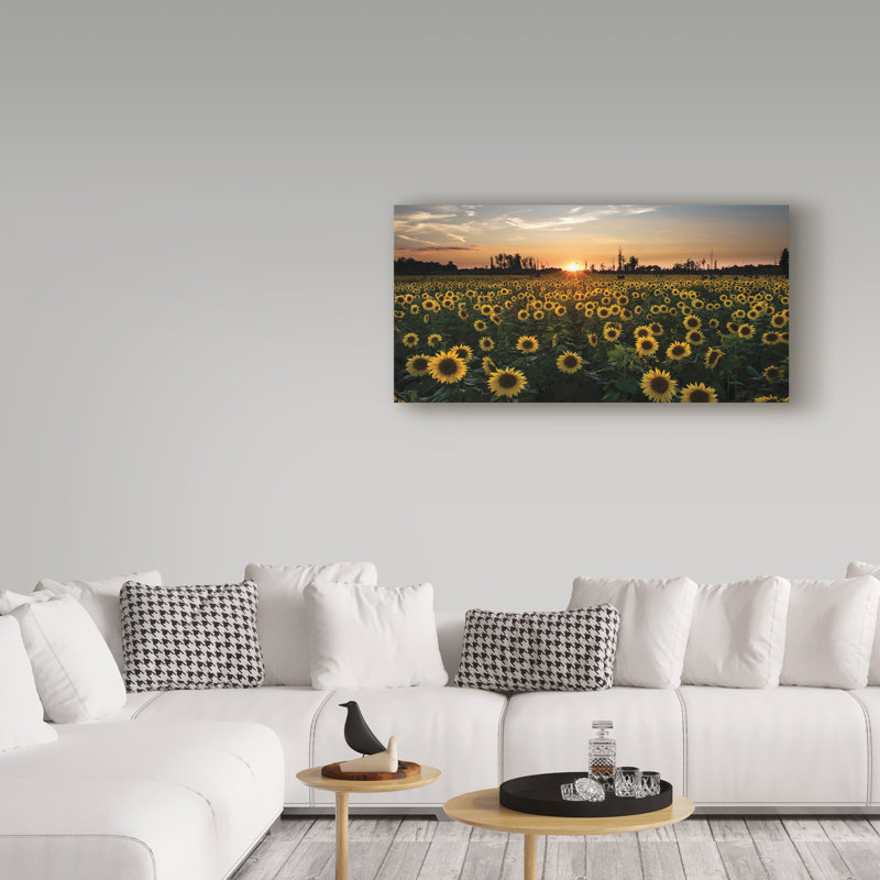 Cattima «Sunset on a Sunflower Field», reproduction de photo sur toile tendue, H 16 po x l 32 po x P 2 po
