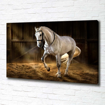 White Horse In The Stable - Wrapped Canvas Print