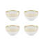Gold Exotic Porcelain Soup Bowl