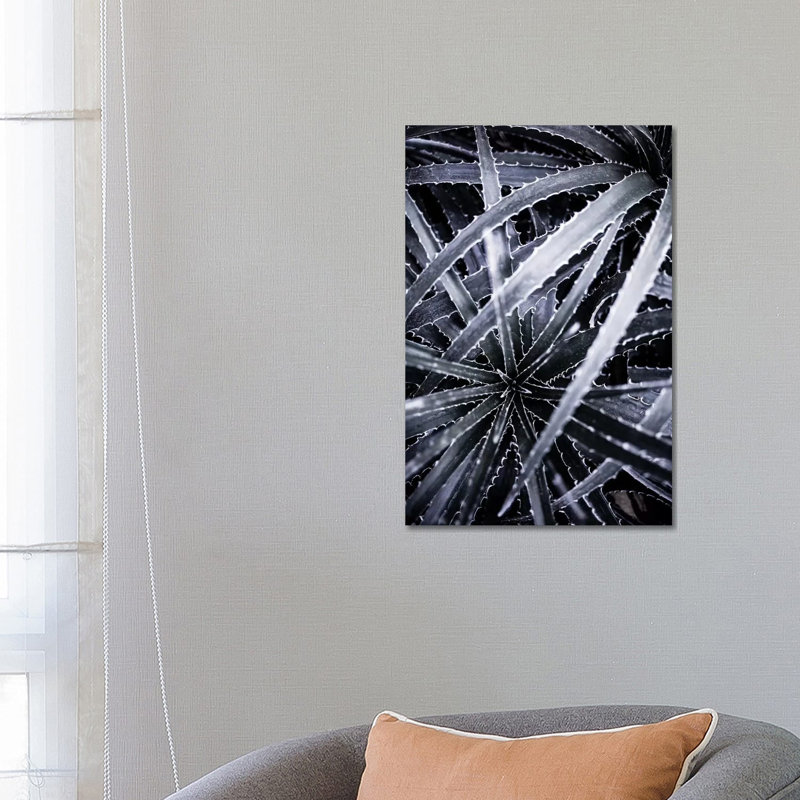 Cactus III by Mareike Böhmer - Wrapped Canvas Print, 66.04 cm H x 45.72 cm W x 3.175 cm D