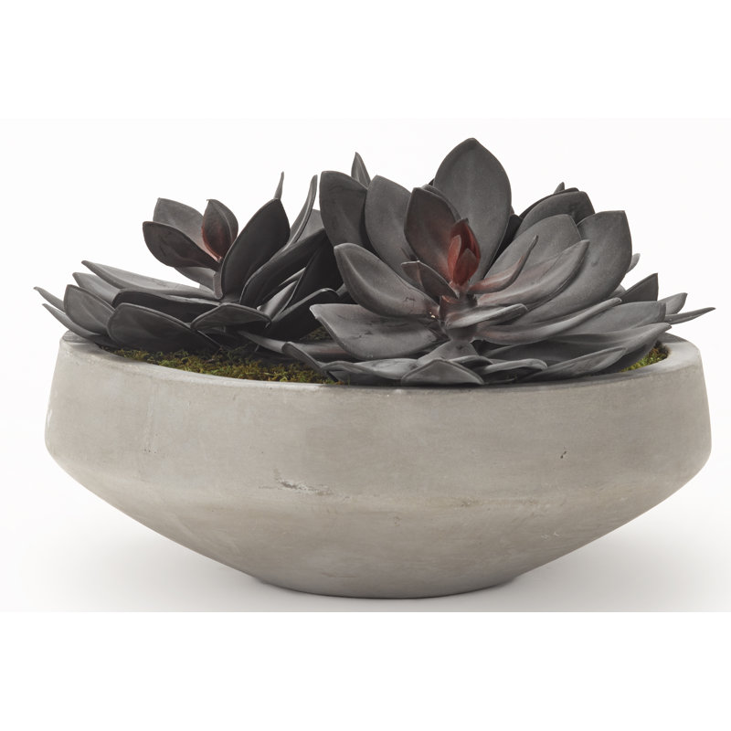 Faux Echeveria Plant in Stone Planter