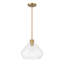 Luminaire suspendu 1 lumière 12,5 po Elaris-124505374-124505375