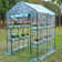 56.4" W x 4.7' D Greenhouse