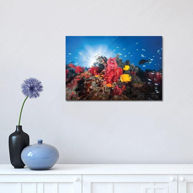 Reef Life 1 Piece Wall Art on Canvas, 30.48cm H x 45.72cm W x 1.91cm D, Wrapped Canvas
