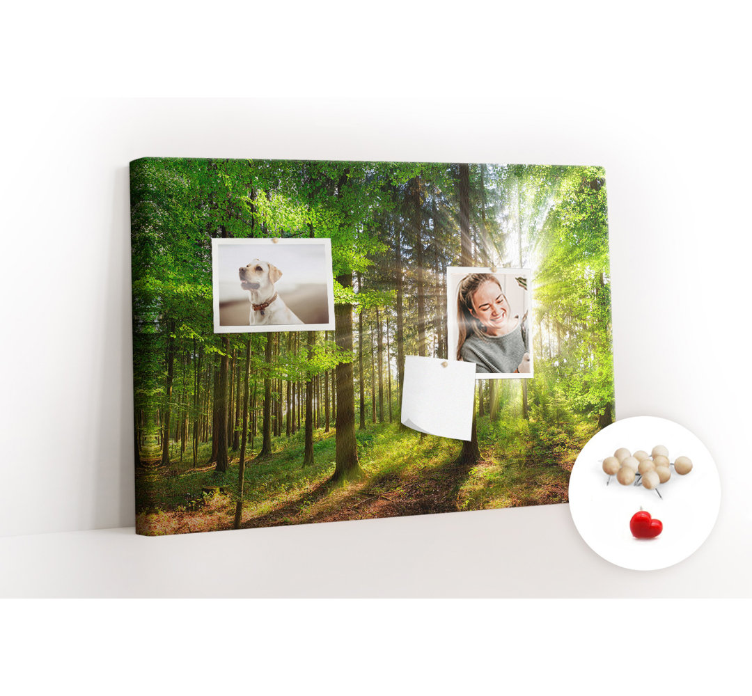 Wall Mounted cork board with print home decor pin board for wall for office bulletin board ideas Forest sunrise