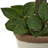 18'' Faux Topiary in Ceramic Planter