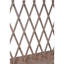 Elevated Planter with Trellis-926903293
