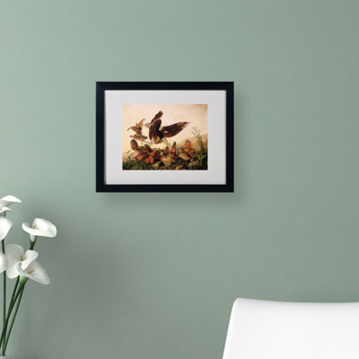 "Red-Shouldered Hawk" by John James Audubon Matted Framed Painting Print