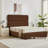 Braya Luxury 57.1" High Headboard Hydraulic Lift Up Storage Upholstered Platform Bed With Channel Headboard Design,Coffee,Queen-1549463974-1549463971