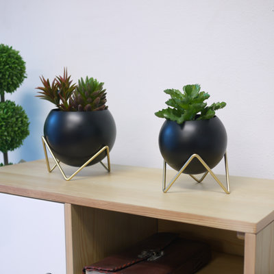 Ceramic Pot Planter
