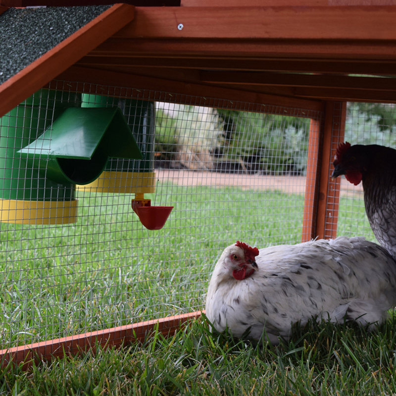 Feeding Station