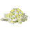 Lemons 16-Piece Lightweight Chip-Resistant Bone China Dinnerware Set, Service for 4