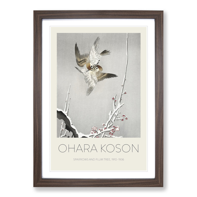 Sparrows & Plum Tree by Ohara Koson - Single Picture Frame Print, 36cm H x 27cm W x 2cm D, Walnut Framed