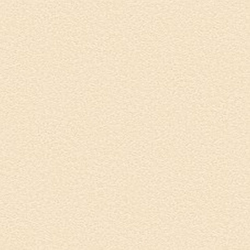 Rouleau de papier peint texturé L 33 pi x l 21 po, Beige