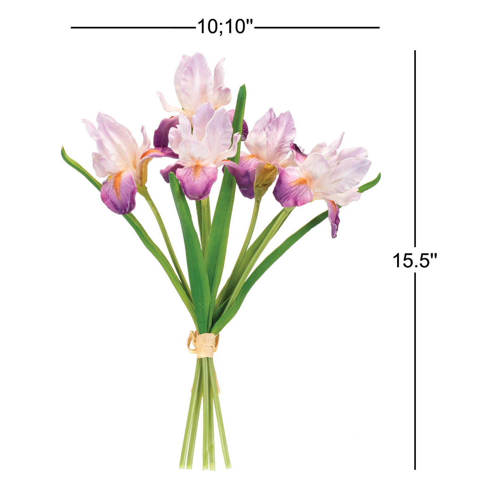 Iris Floral Stems