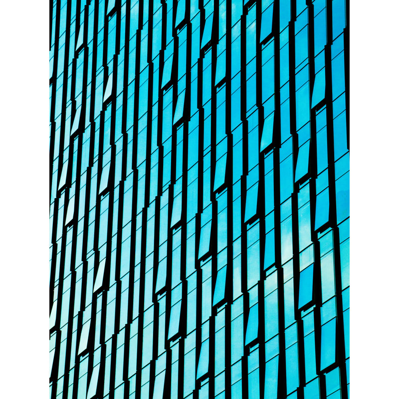 Opening Up Print, 20" H x 16" W