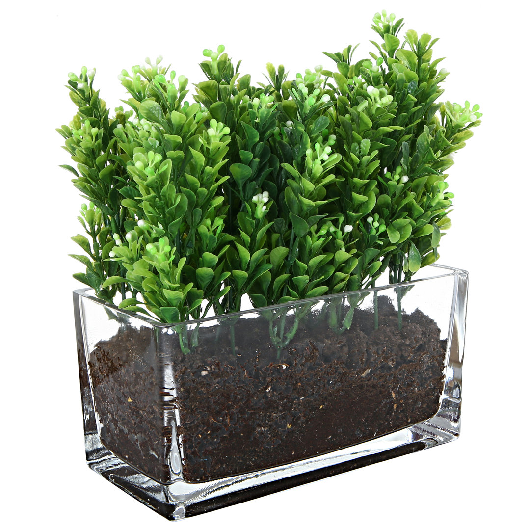 Jeilin Glass Pot Planter Ebern Designs