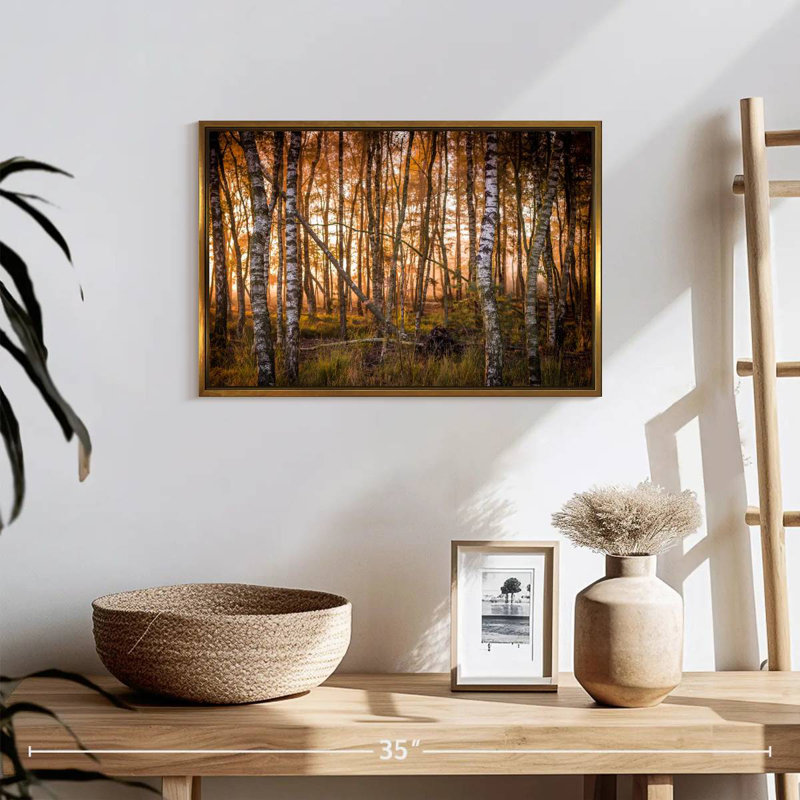 Forêt de bouleaux sombre, 19 po x 13 po, Cadre flottant doré