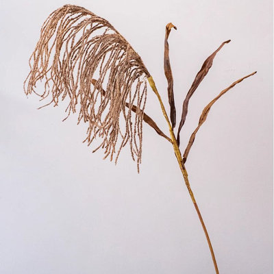 Tall Reed Branch Stem 29" Tall