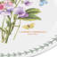 Portmeirion, Botanic Garden - Dinner Plates