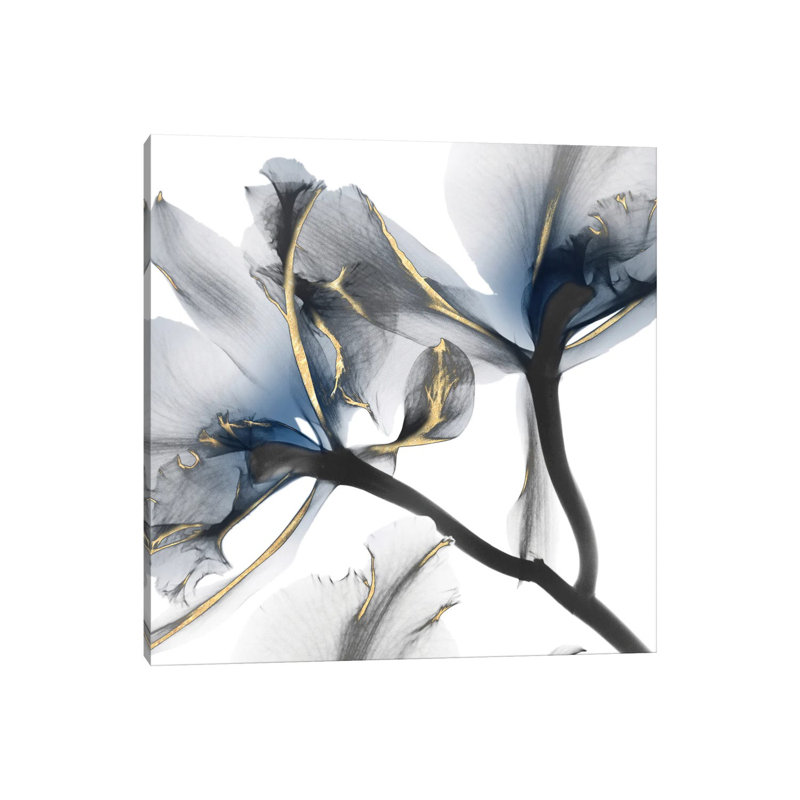 Indigo Luster Cyclamen II by Albert Koetsier - Wrapped Canvas Print, 93.98 cm H x 93.98 cm W x 1.91 cm D, No Frame