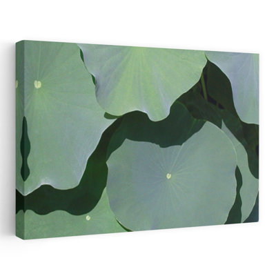 Lotus II Abstract Contemporary Lotus Landscape Nature Art