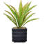 Plante grasse artificielle Bragdon en pot