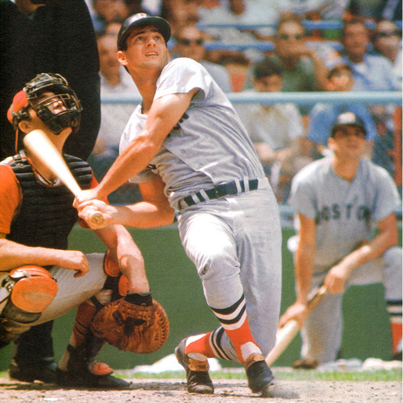 Carl Yastrzemski, H 36 po x l 36 po