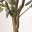 210cm Faux Tree in Cement Pot