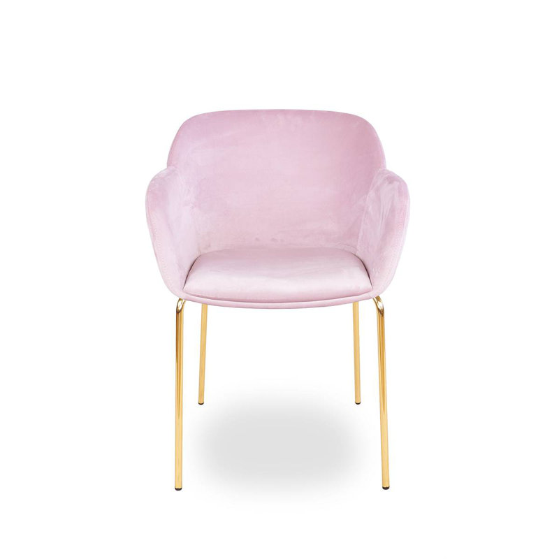 Orason 43cm H Velvet Upholstered Armchair, Pink, Gold