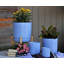 Pot de fleurs-301192161-301192165
