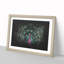Mesmerising Pink and Green Peacock - Framed Print-56842957-56842961