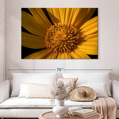 Harnek Wild Yellow Sunflower